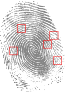 finger print