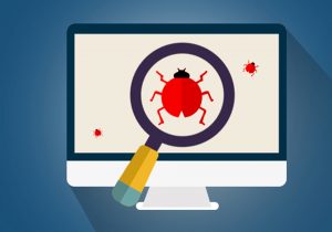 search for bugs